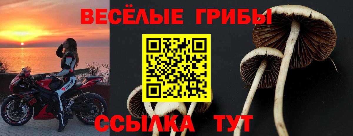 Галлюциногенные грибы прущие грибы  Вход с VPN  Волгоград 
